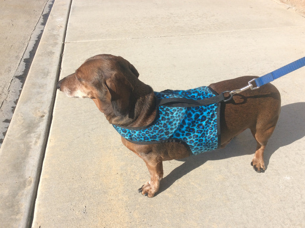 harness - turquoise leopard